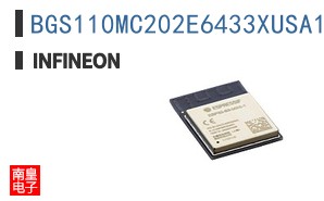 BGS110MC202E6433XUSA1