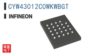 CYW43012C0WKWBGT