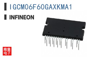 IGCM06F60GAXKMA1